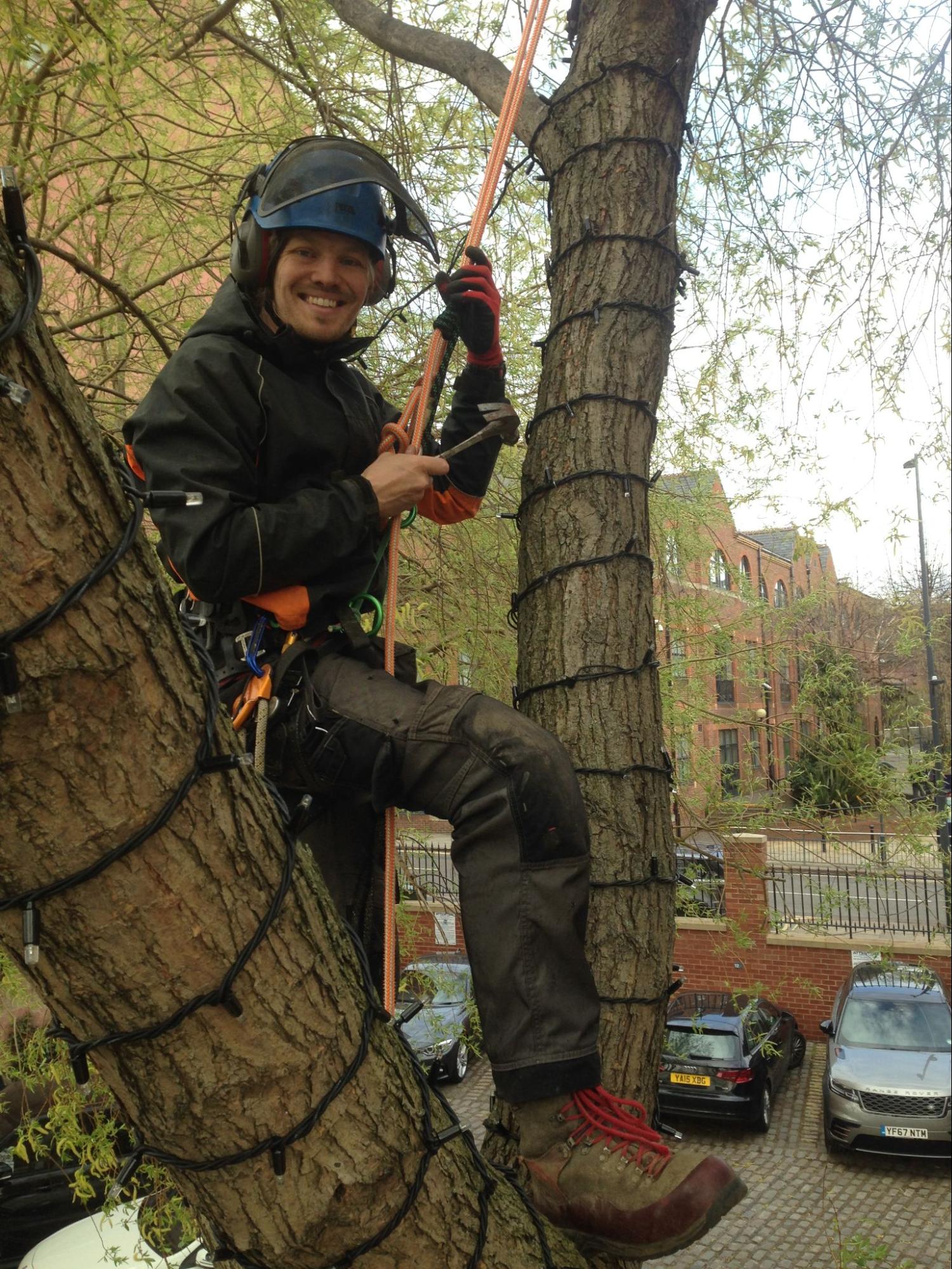Rope Access Leeds Tree Care Services